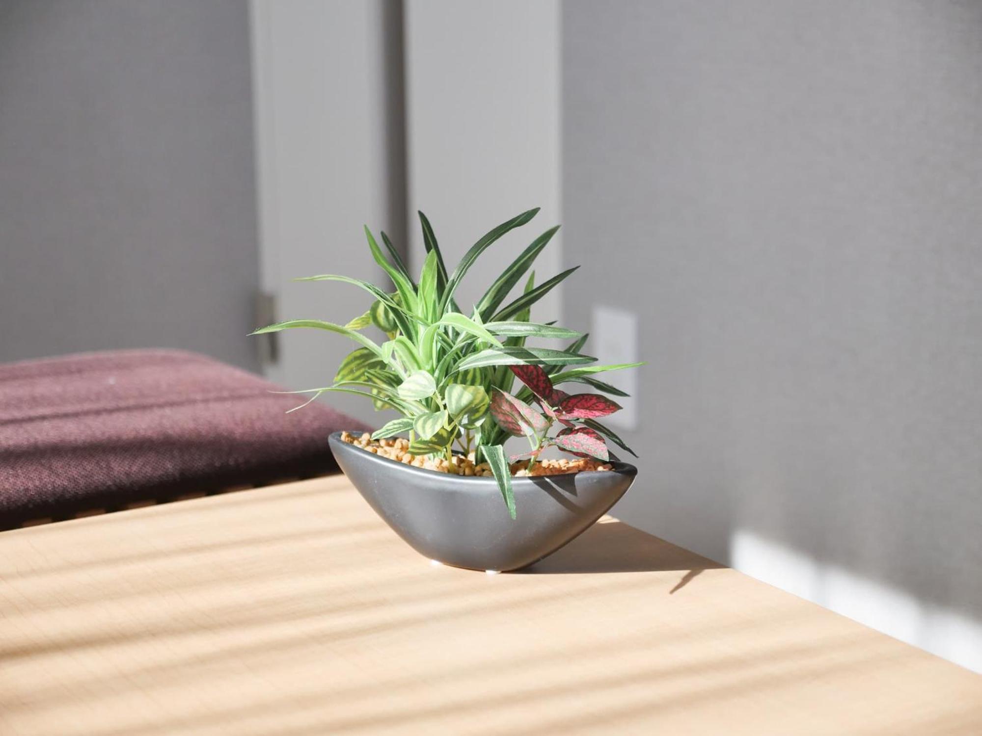 Triphome Nakano 2025 Penthouse Apartamento